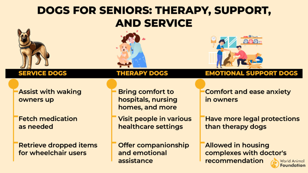Dogs for Seniors Therapy, Support, and Service