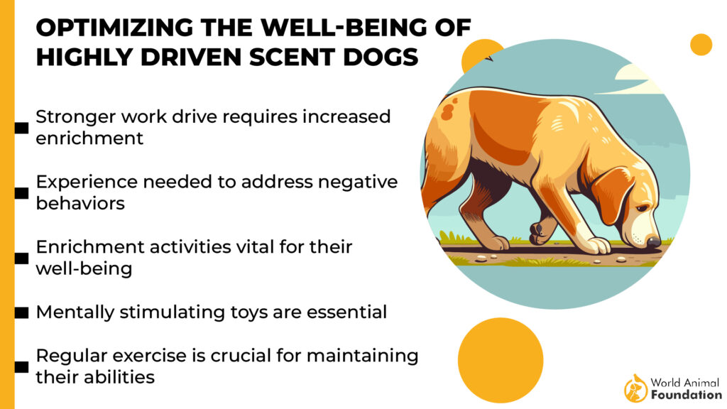 dog with strongest sense of smell
