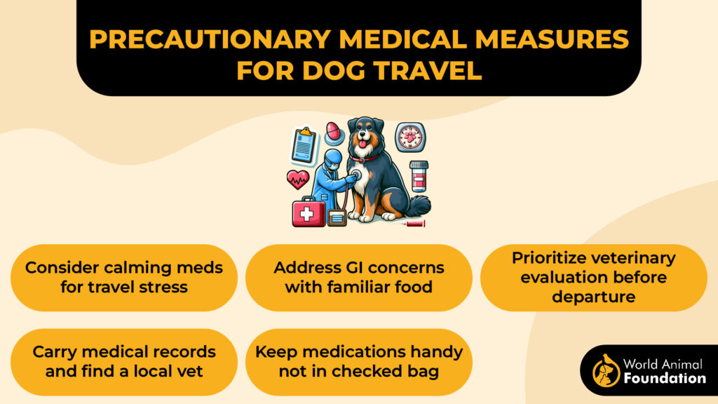 Precautionary Medical Measures for Dog Travel