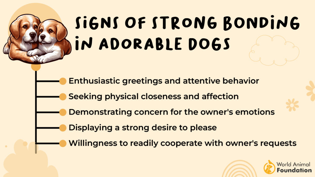 Signs of Strong Bonding in Adorable Dogs