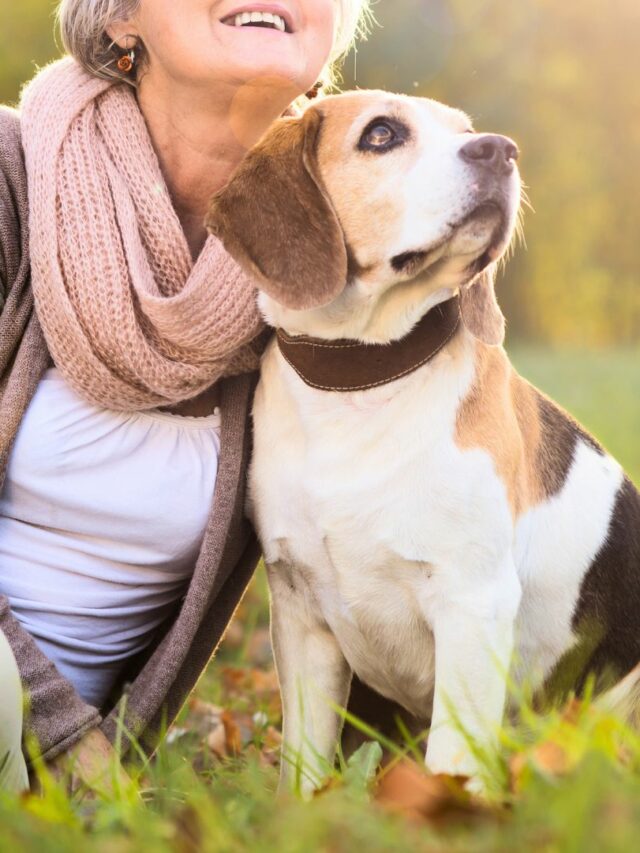 8 Best Guard Dogs For Older Women WAF