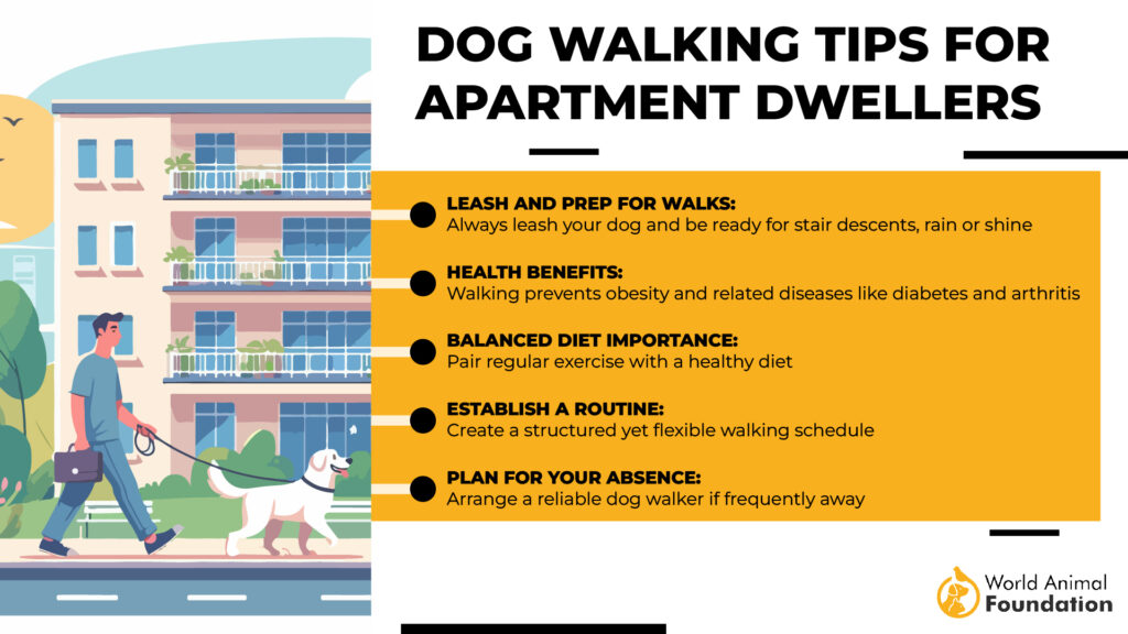 Quiet Dog Breeds for Apartment Dwellers