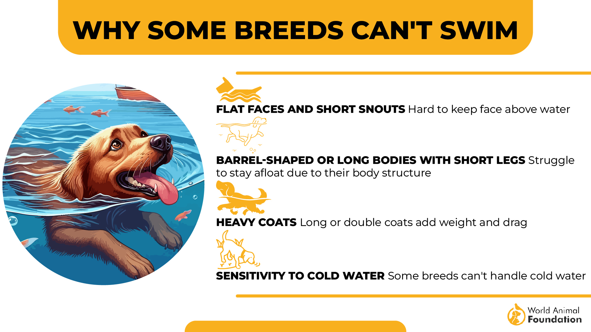 9 Dog Breeds That Can't Swim Know Their Limits & Needs