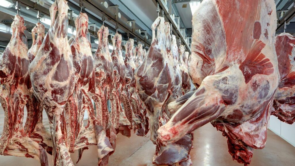 ground beef in North Korea