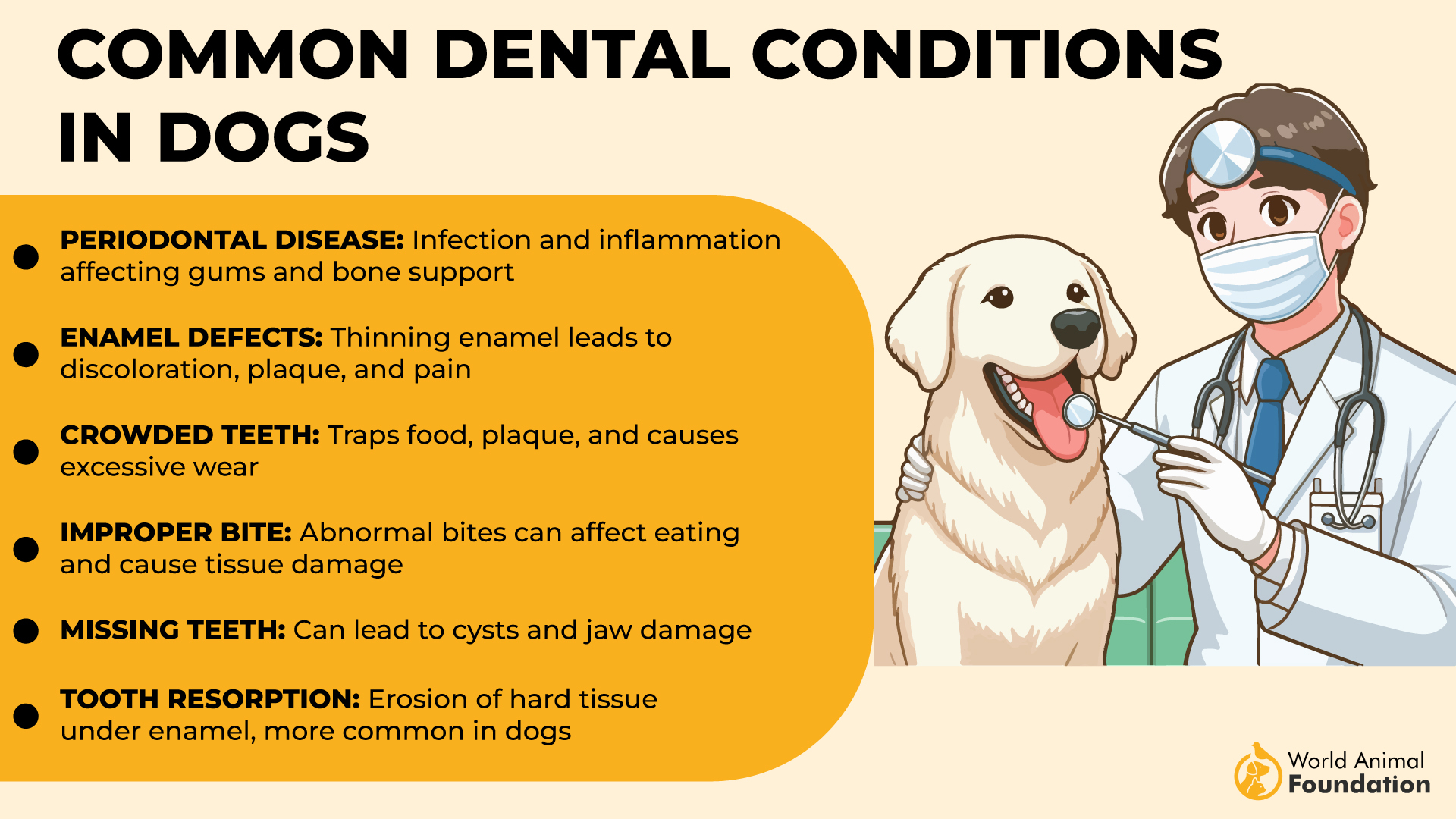 7 Dog Breeds Most Prone To Dental Disease Photo Inspiration