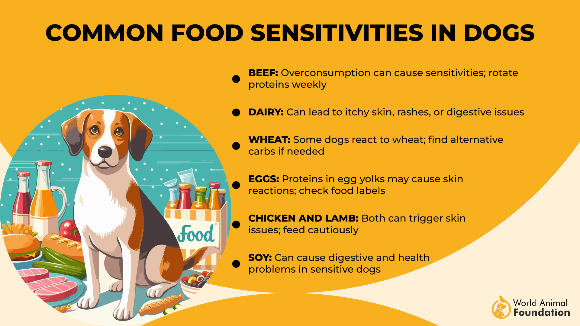 View of 7 Dog Breeds With The Most Food Sensitivities - Tededer.com
