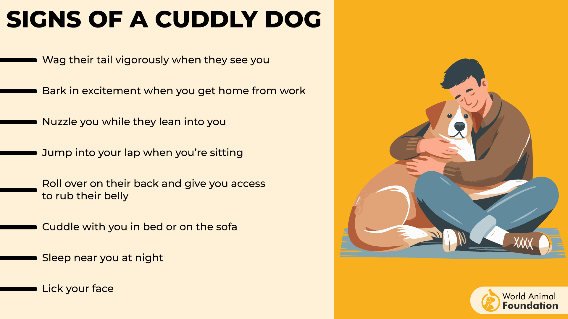 10 Most Cuddly Dog Breeds Perfect For Warm Hugs