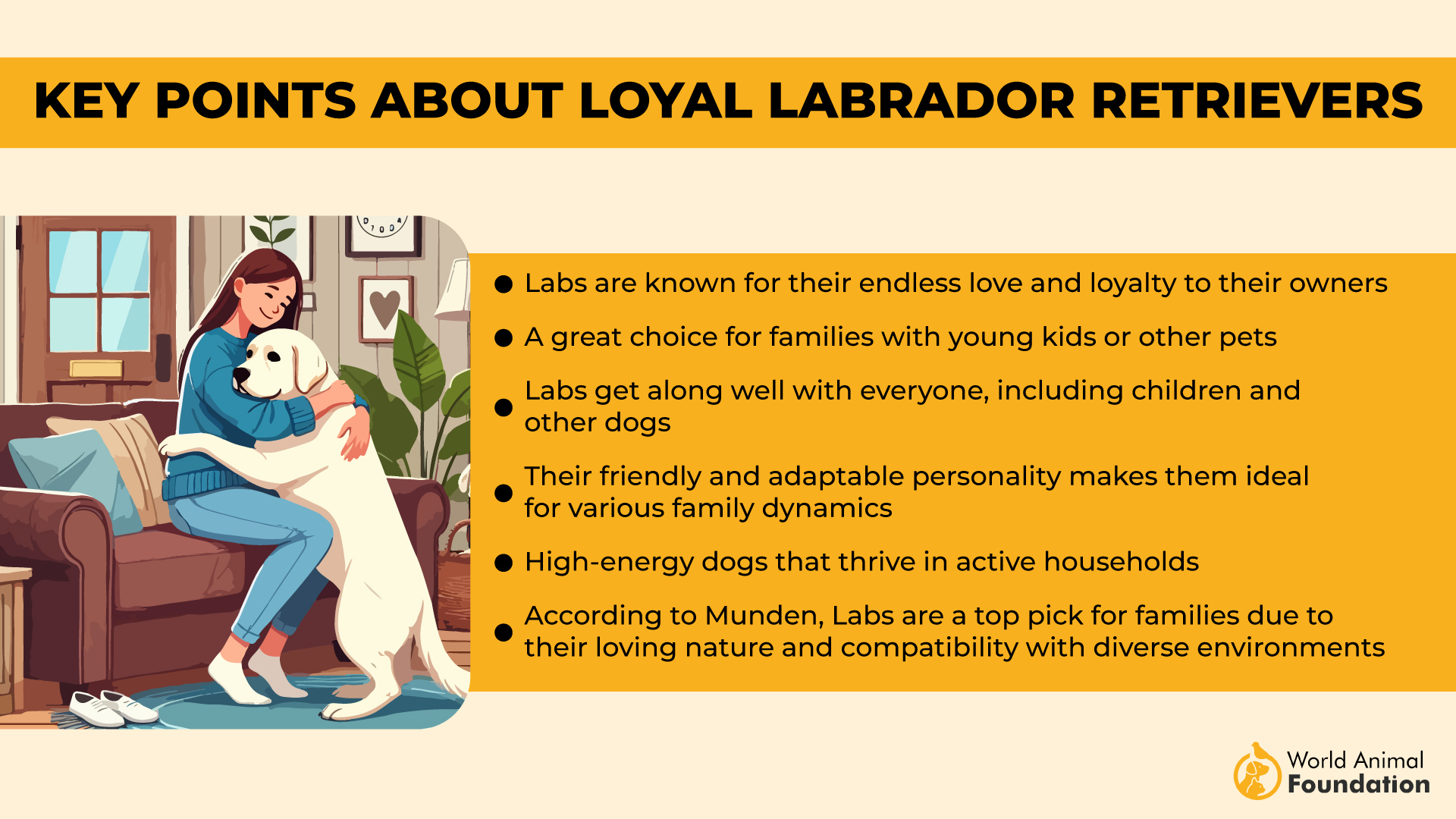 Key Points About Loyal Labrador Retrievers-01