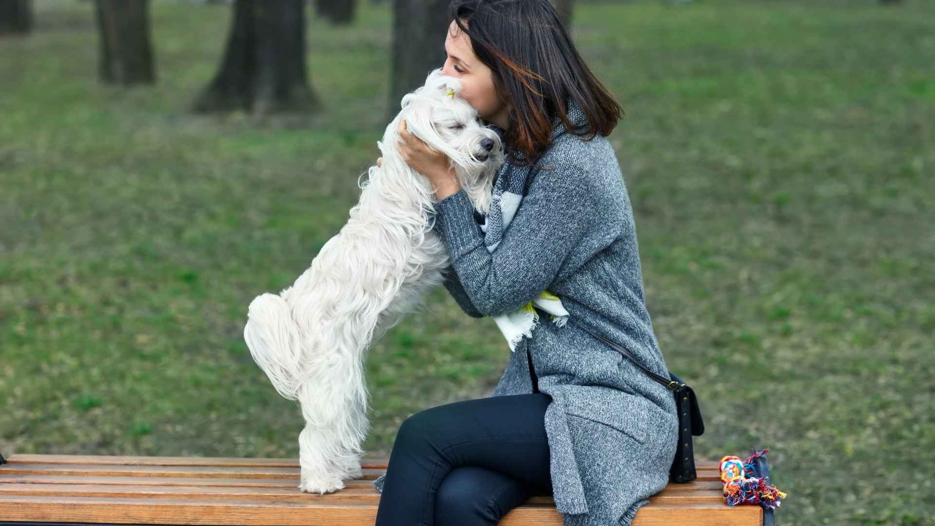 Small Dog Breeds for Therapy