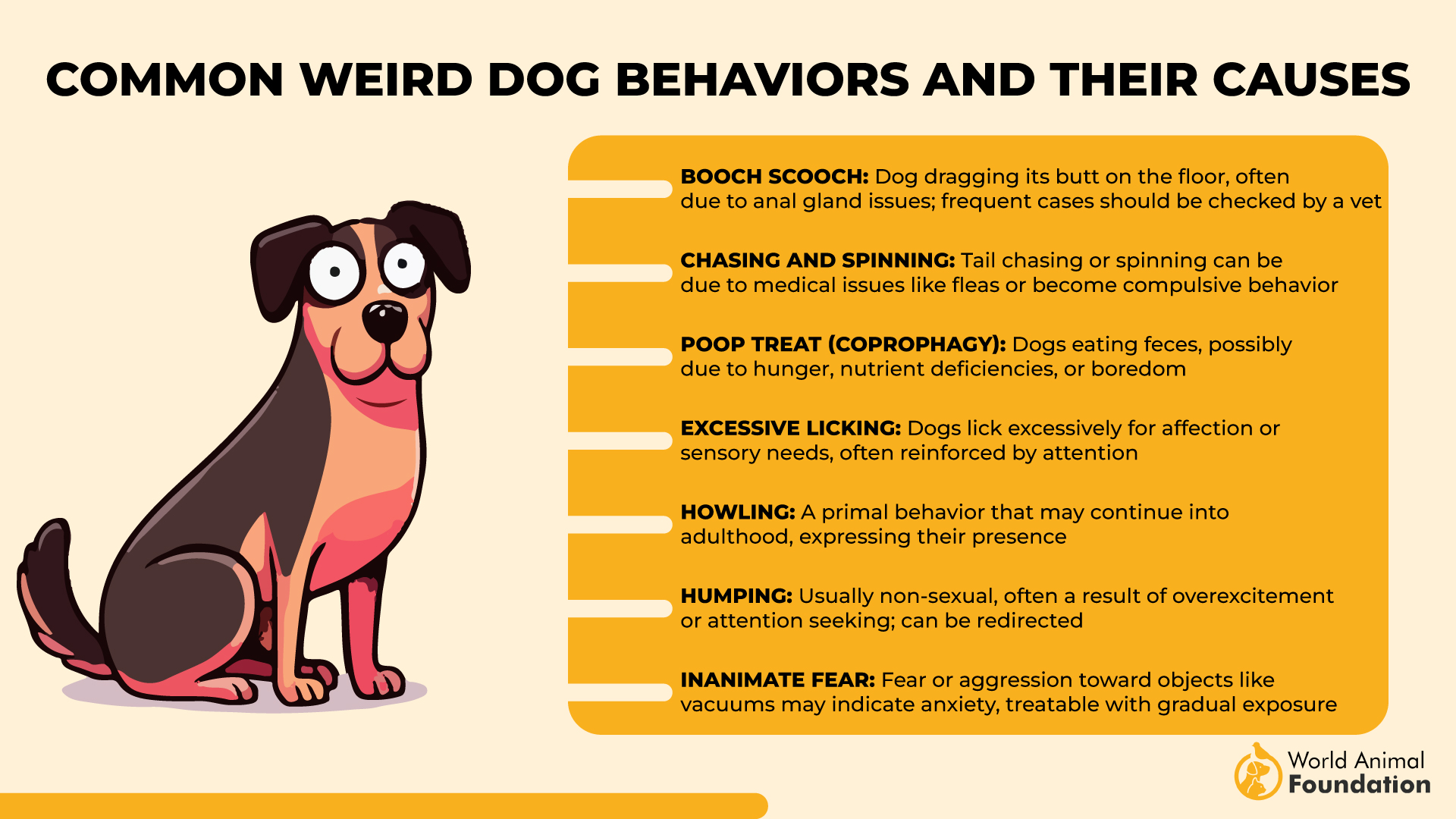 Common Weird Dog Behaviors and Their Causes-01