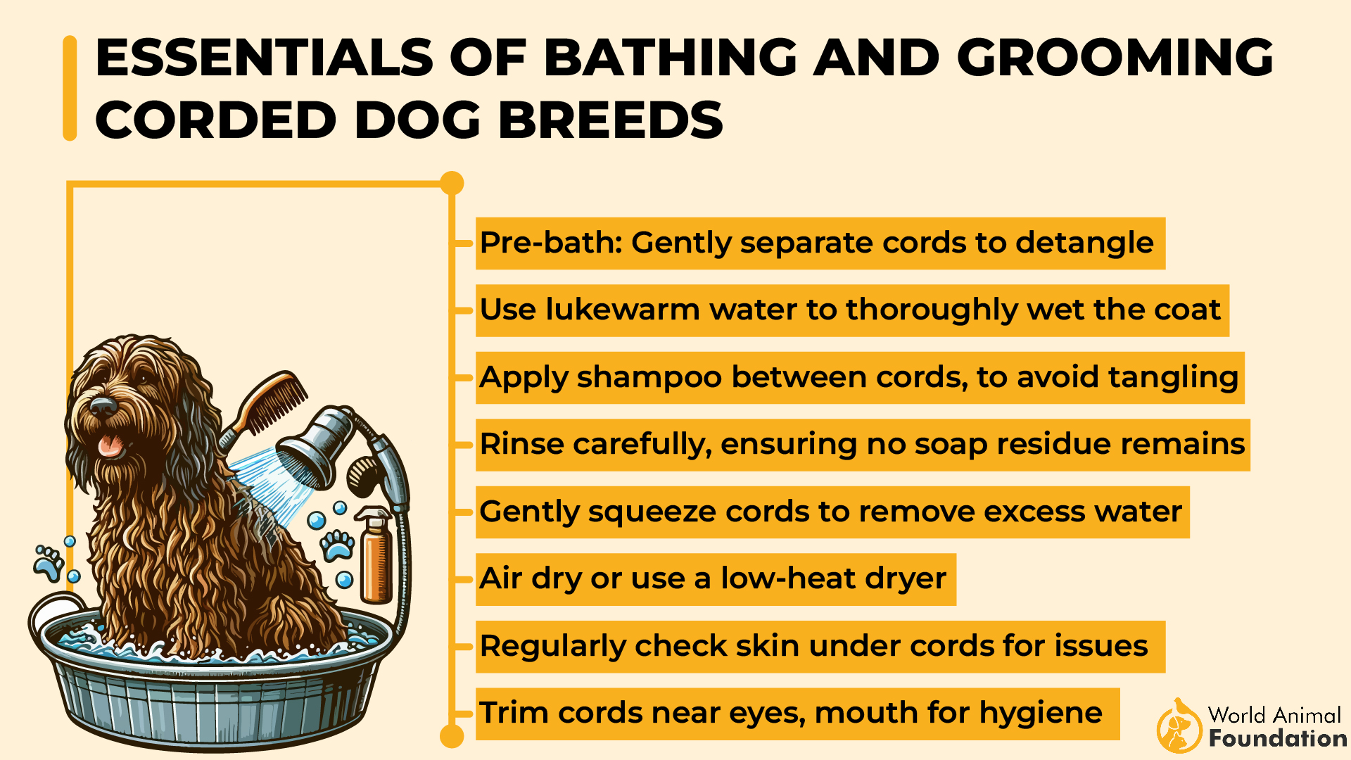 Essentials of Bathing and Grooming Corded Dog Breeds-01
