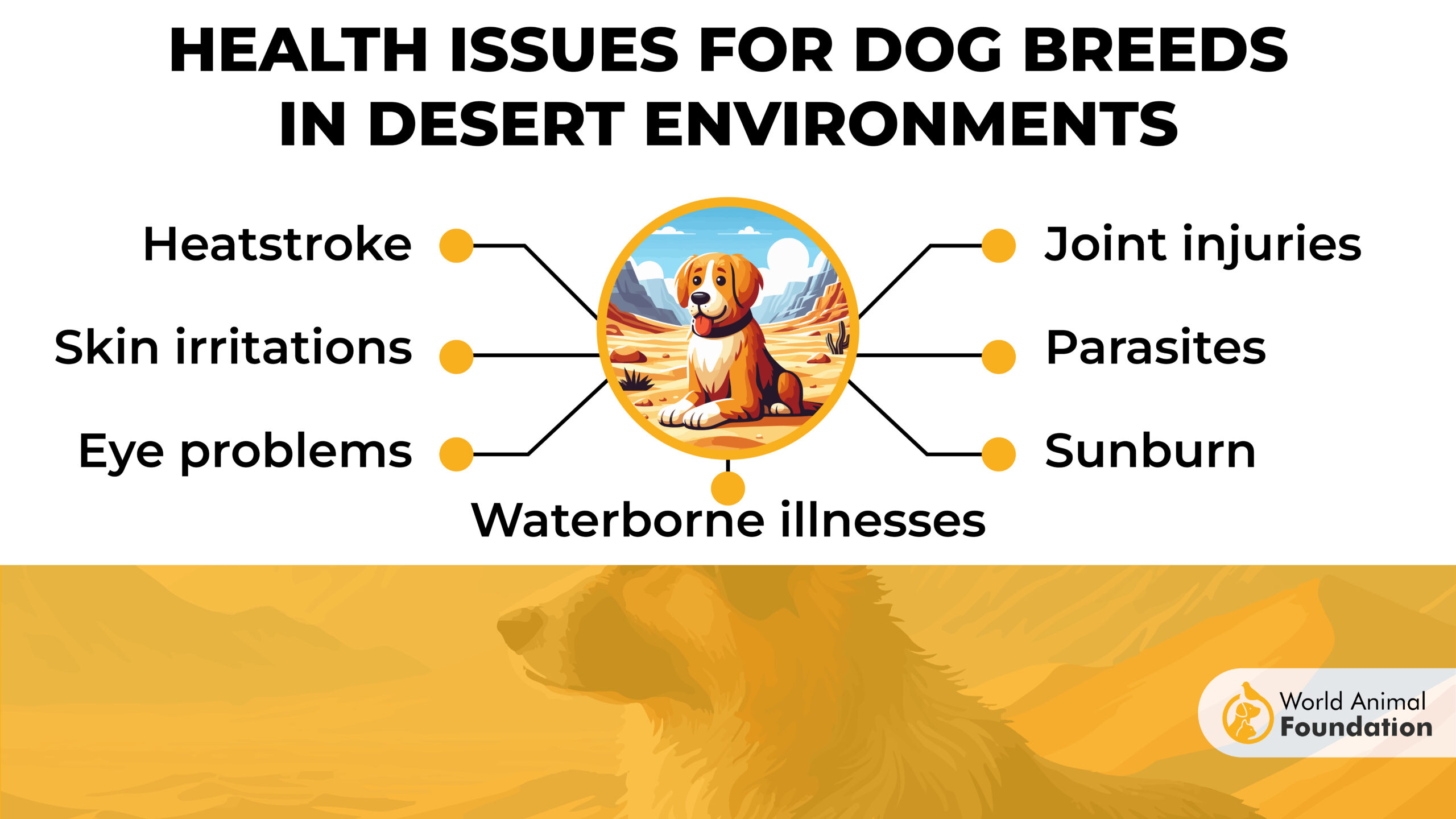 Health Issues for Dog Breeds in Desert Environments-01