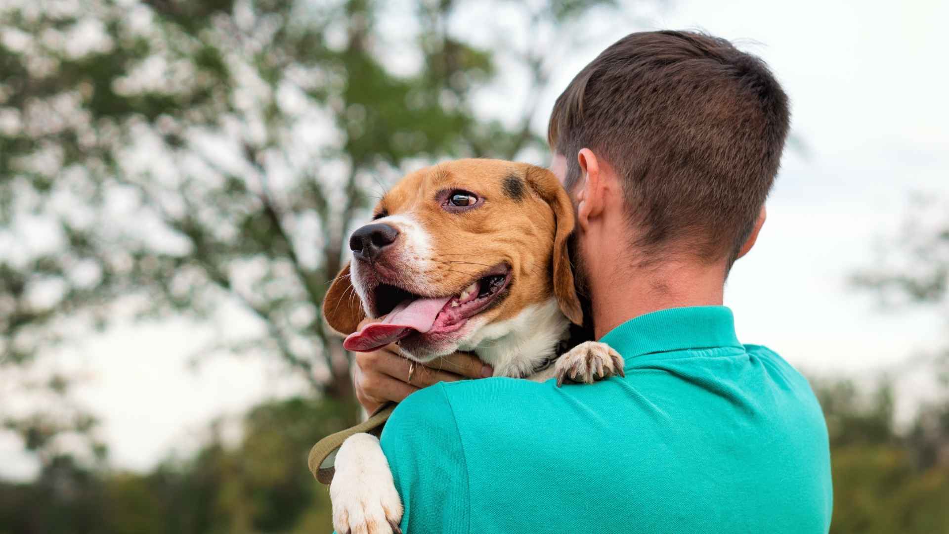 Devoted Dog Breeds That Stick With You for Life