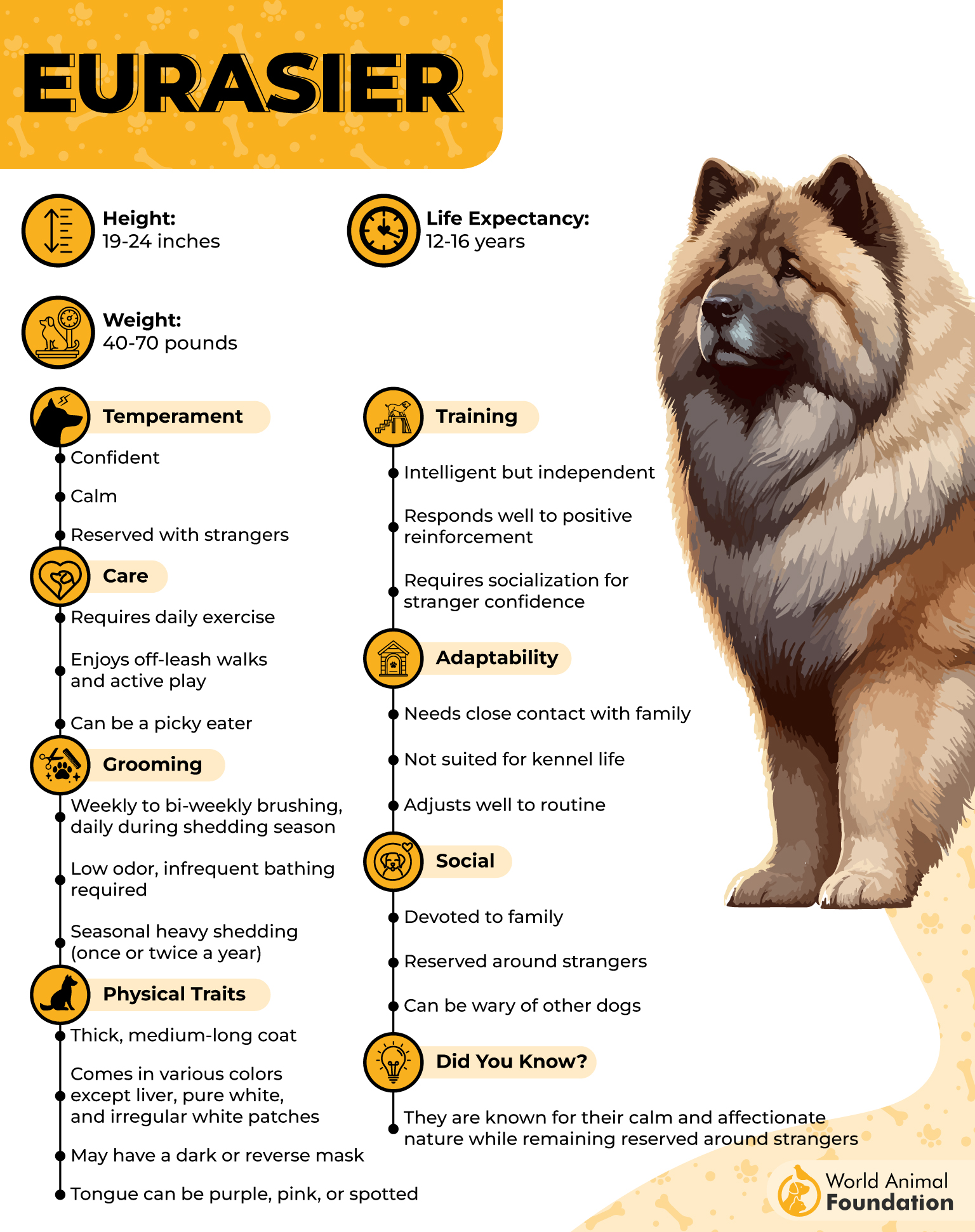 Eurasier Profile