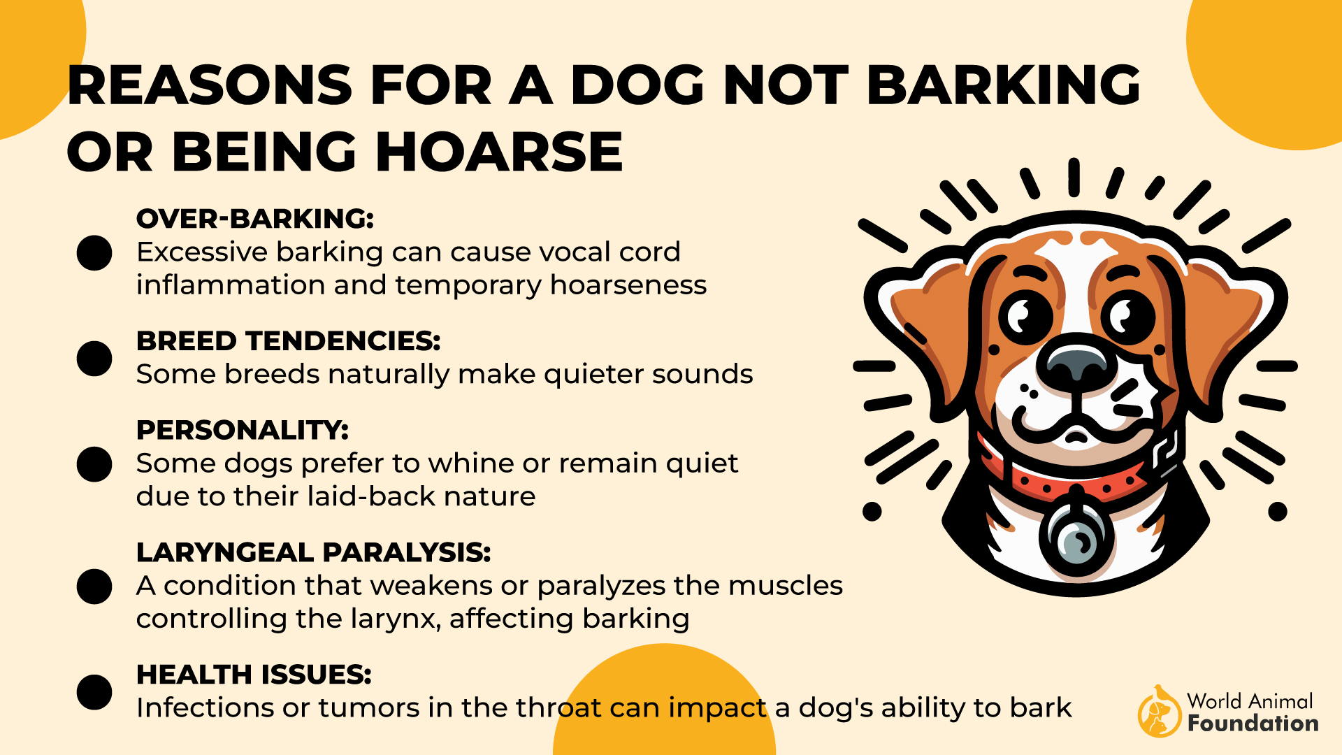 Reasons for a Dog Not Barking or Being Hoarse-01