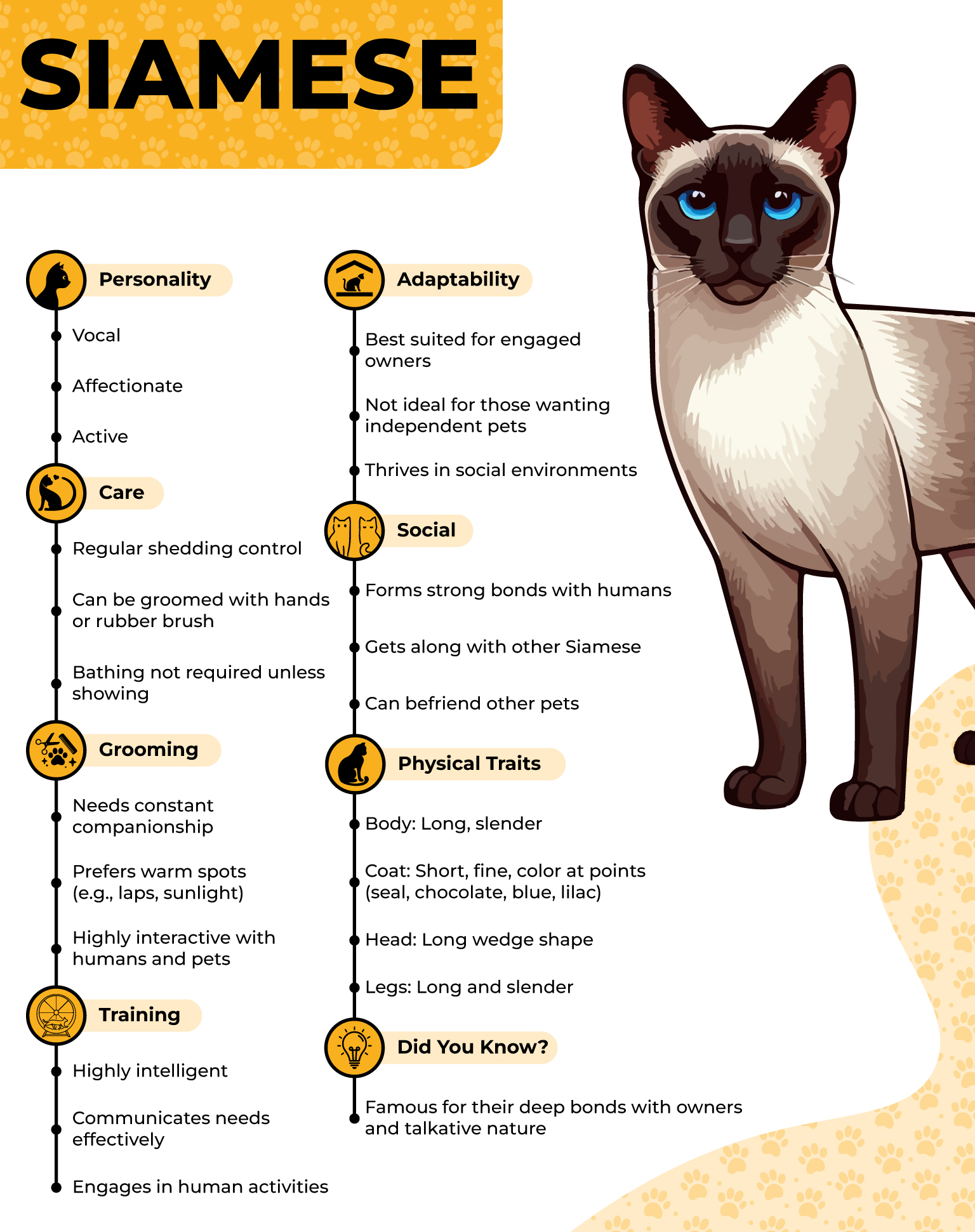 Siamese Profile