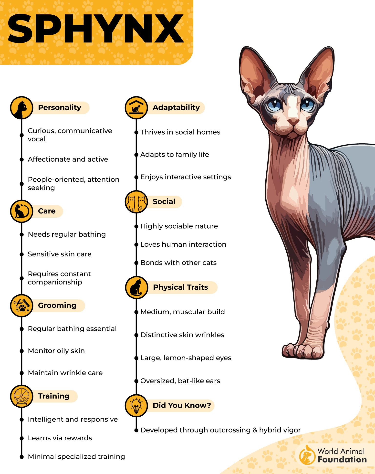 Sphynx Profile