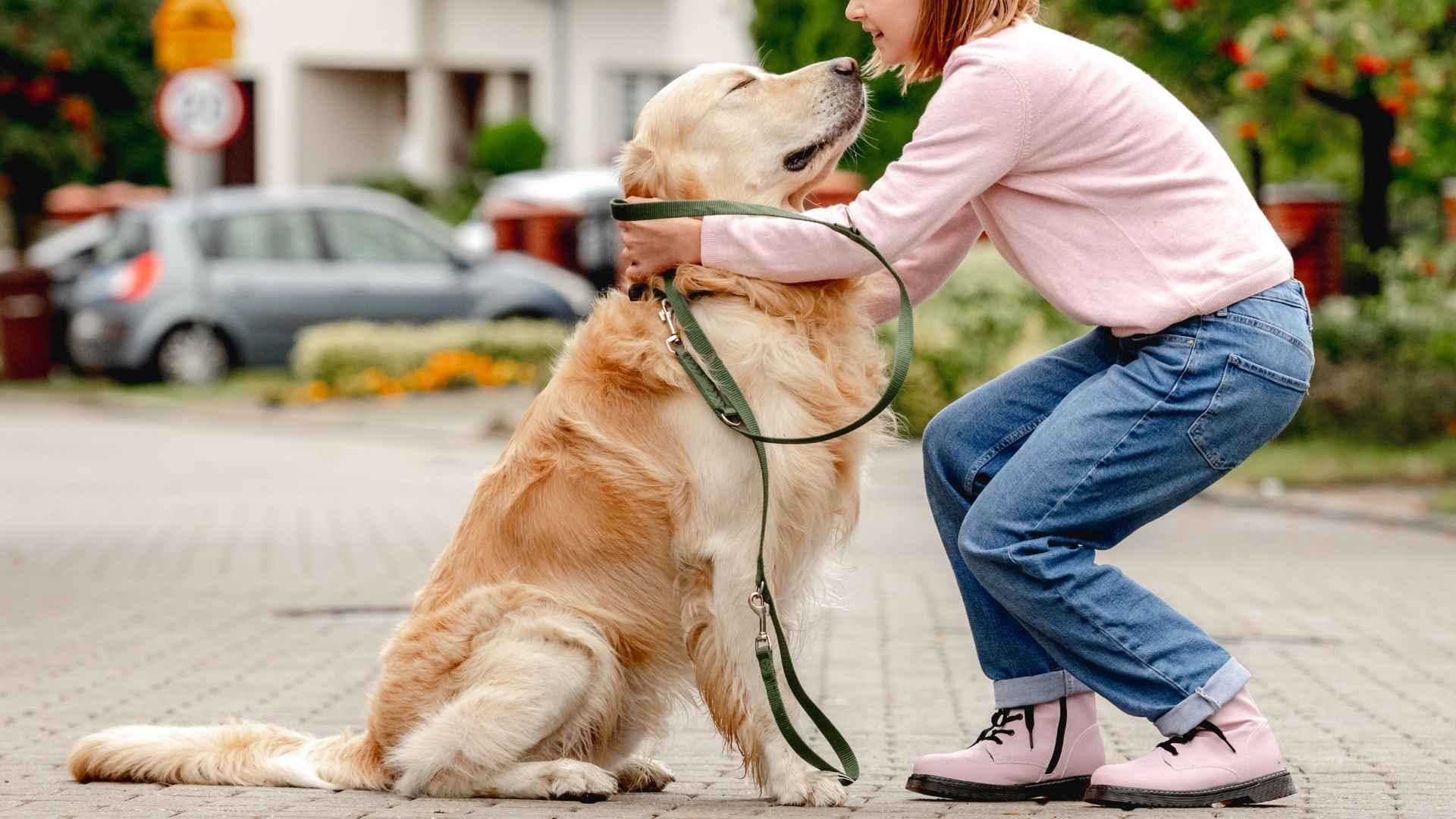 10 Dog Breeds With Best Temperament That Everyone Falls in Love With