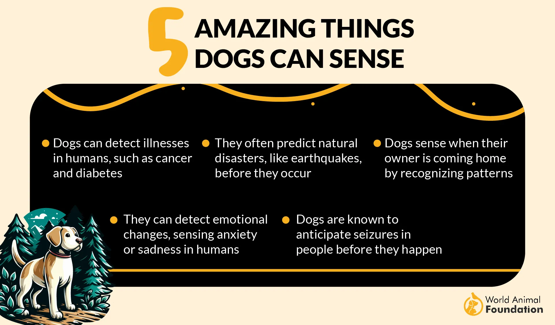5 Amazing Things Dogs Can Sense-01