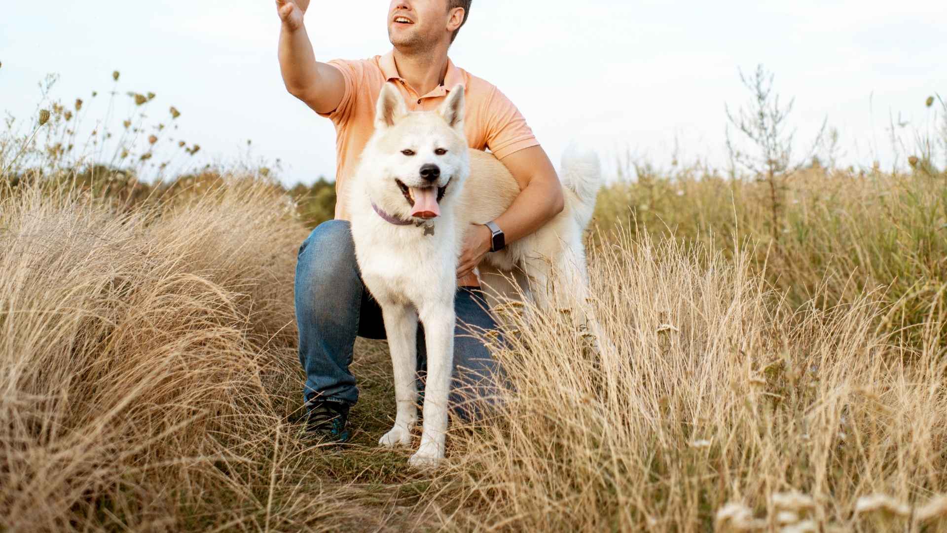 7 Highly Approachable Dog Breeds That Just Want to Be Your Best Friend