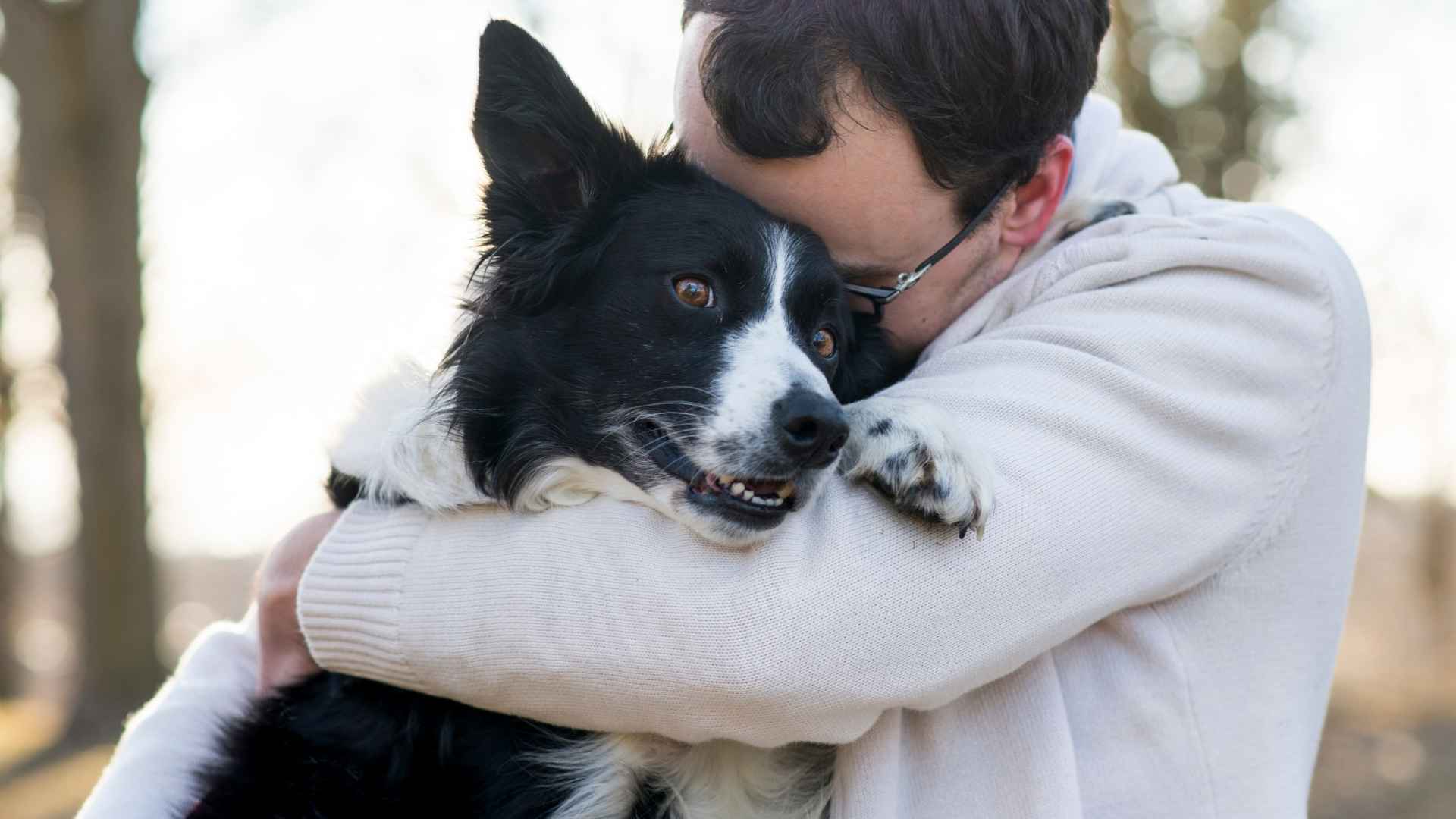 7 Most Caring Dog Breeds That Will Always Be by Your Side