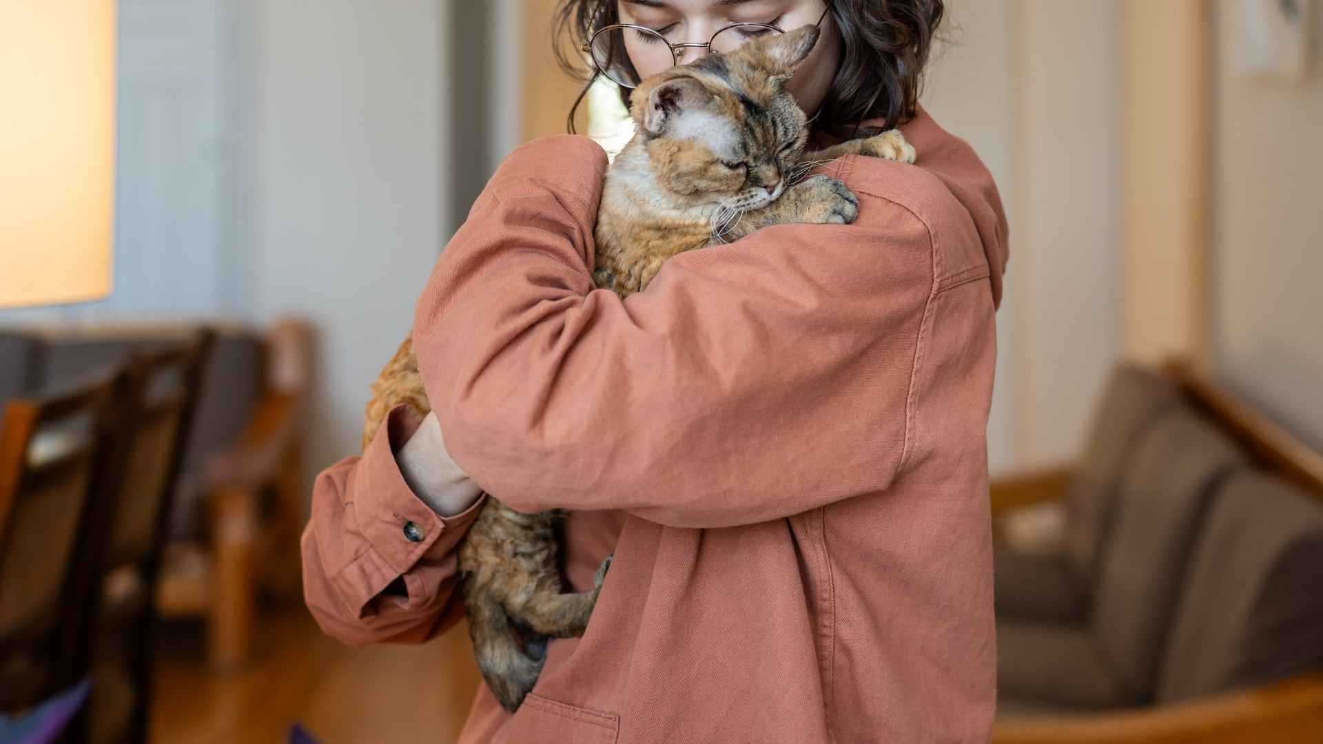 9 Super Cuddly Cat Breeds You'll Want to Snuggle With