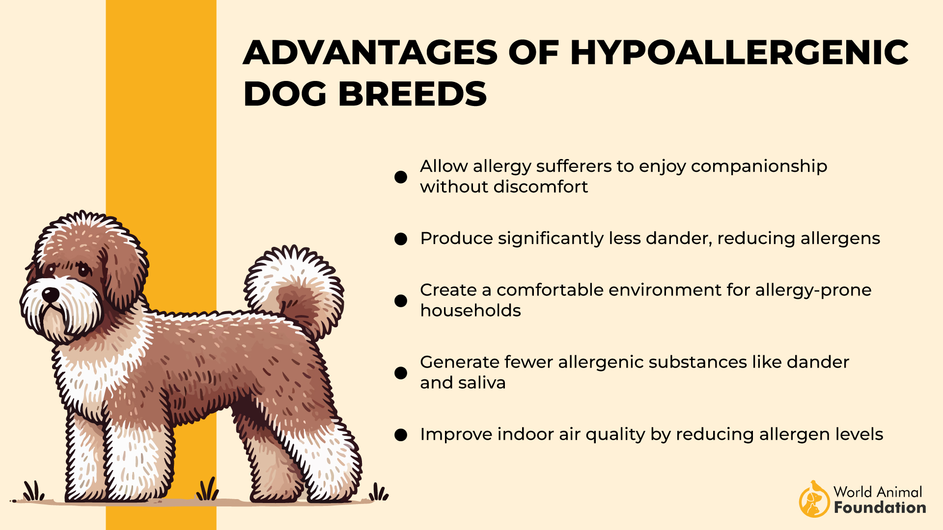 Advantages of Hypoallergenic Dog Breeds-01