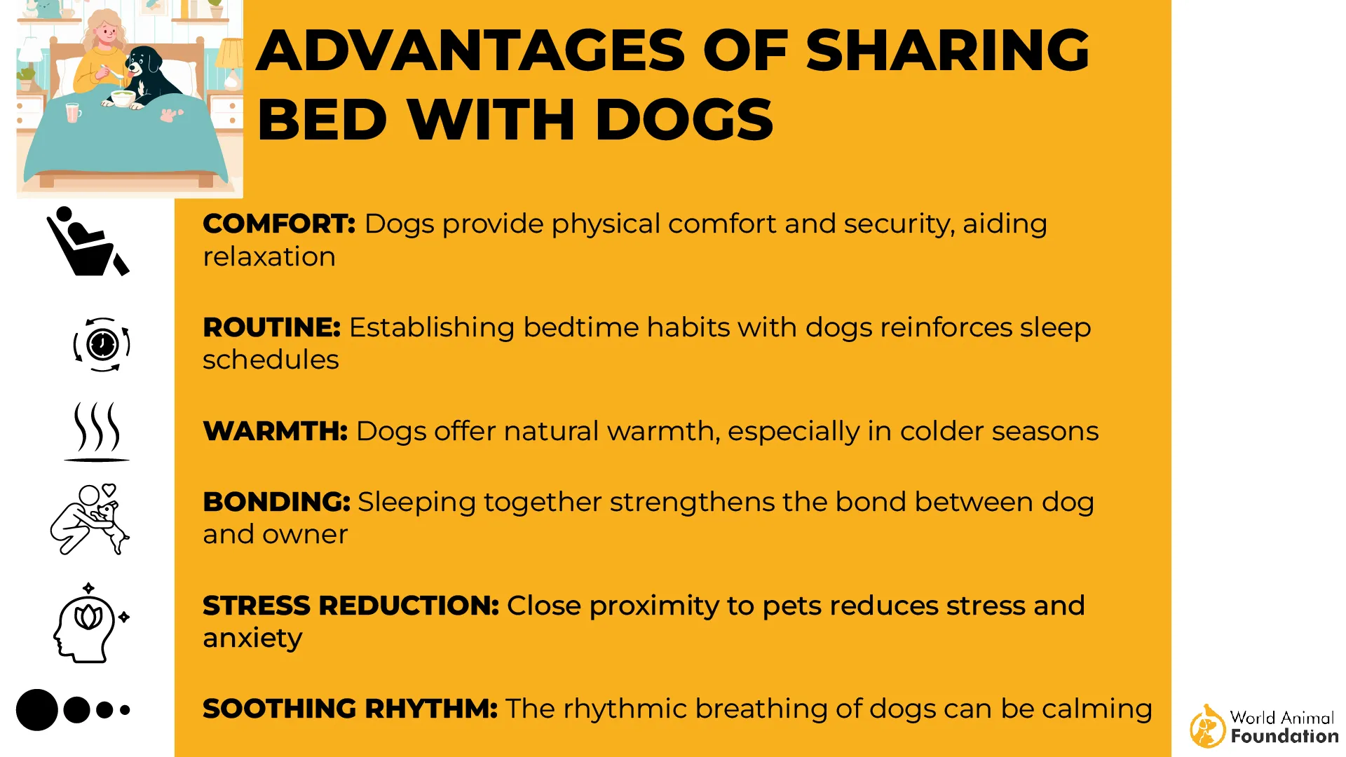 Advantages of Sharing Bed with Dogs-01