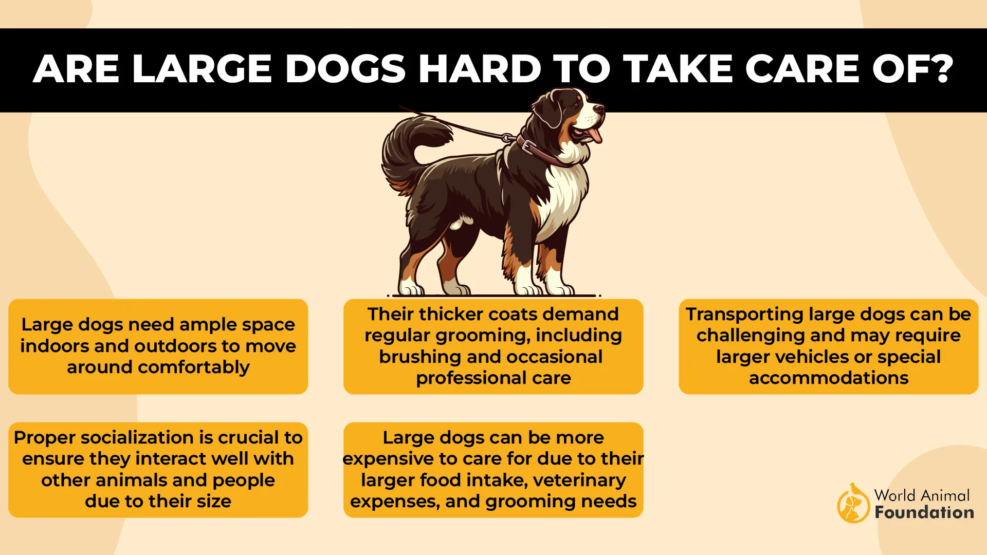 Are large dogs hard to take care of-01