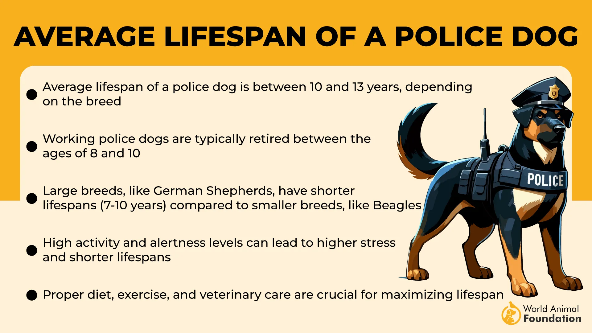 Average Lifespan of a Police Dog-01