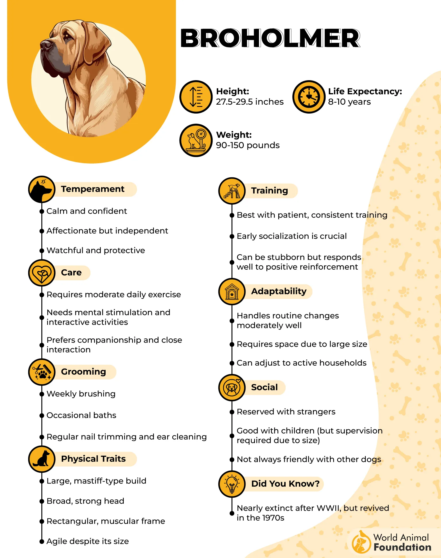 Broholmer Profile