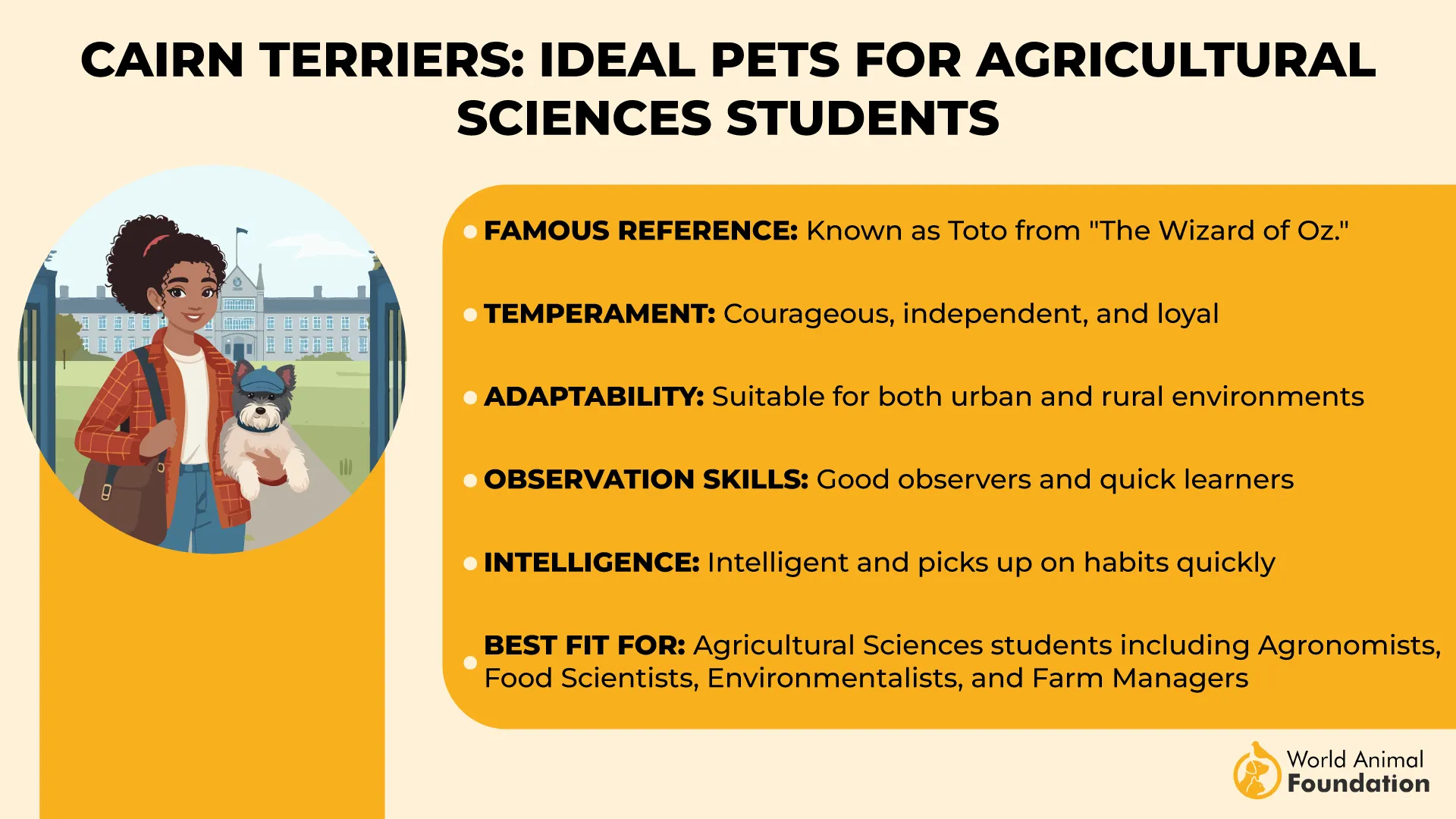 Cairn Terriers Ideal Pets for Agricultural Sciences Students-01