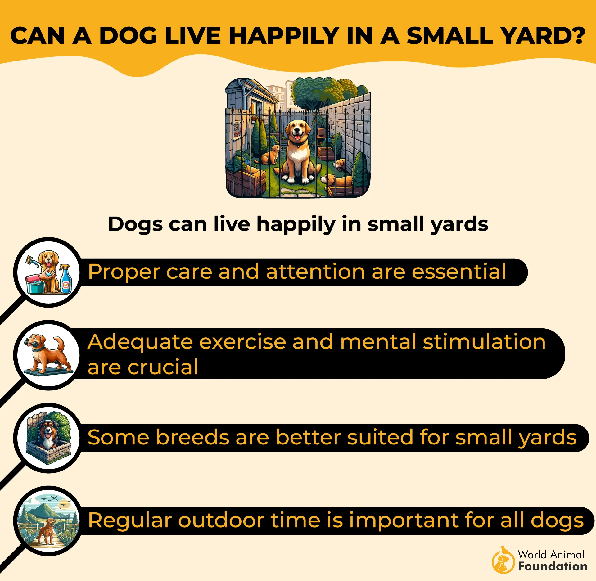 Can a dog live happily in a small yard-01