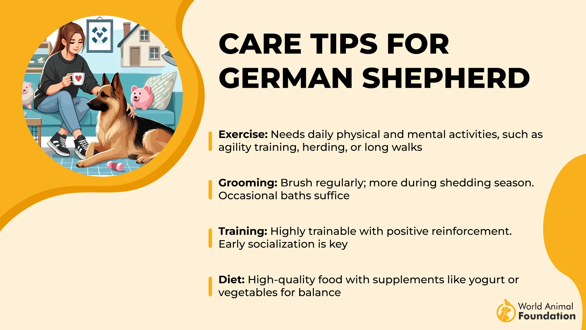 Care Tips for German Shepherd-01