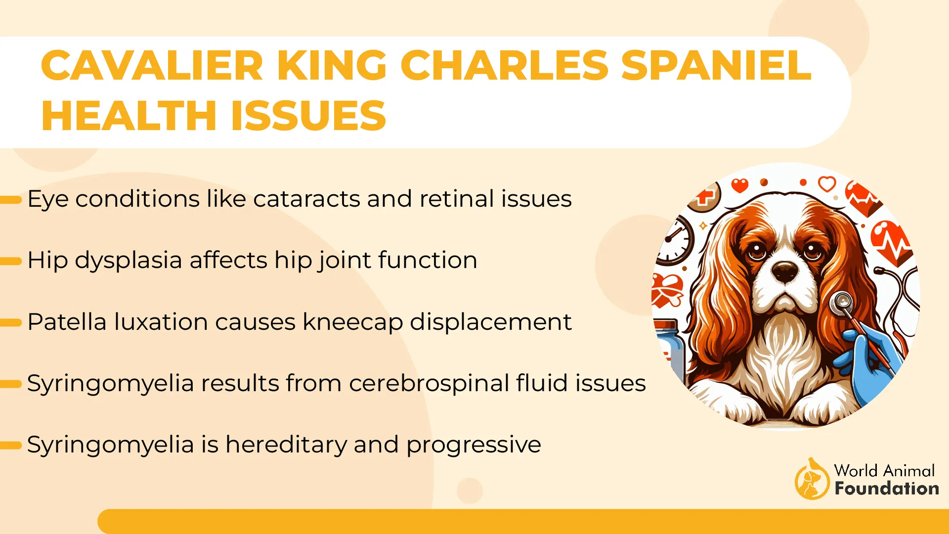 Cavalier King Charles Vs Cocker Spaniel Key Differences Tededer