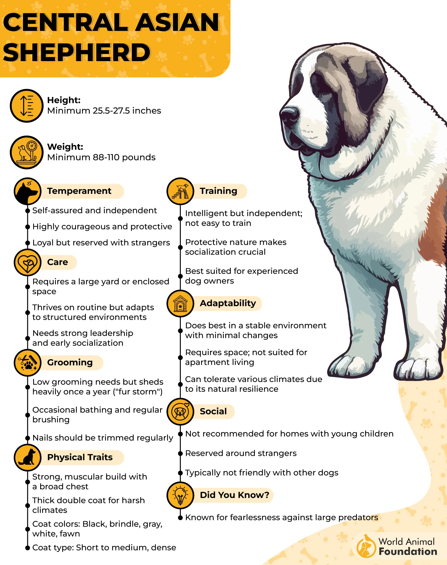 Central Asian Shepherd Profile