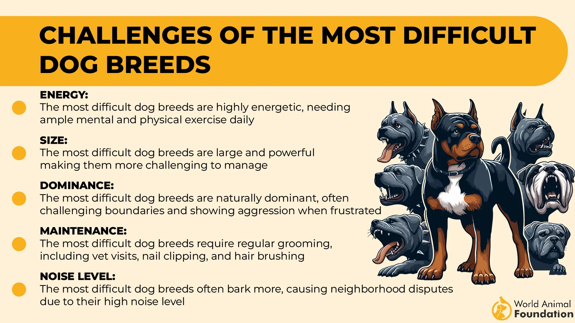 Challenges of the Most Difficult Dog Breeds-01