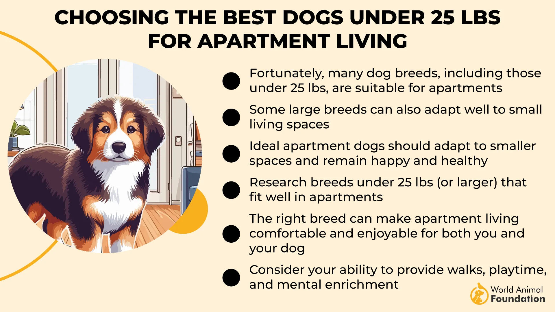 Choosing the Best Dogs Under 25 Lbs for Apartment Living-01