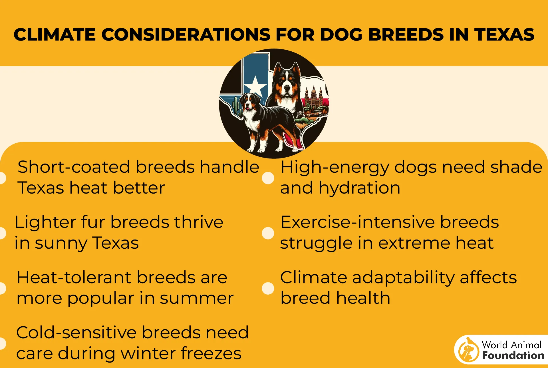 Climate Considerations for Dog Breeds in Texas-01