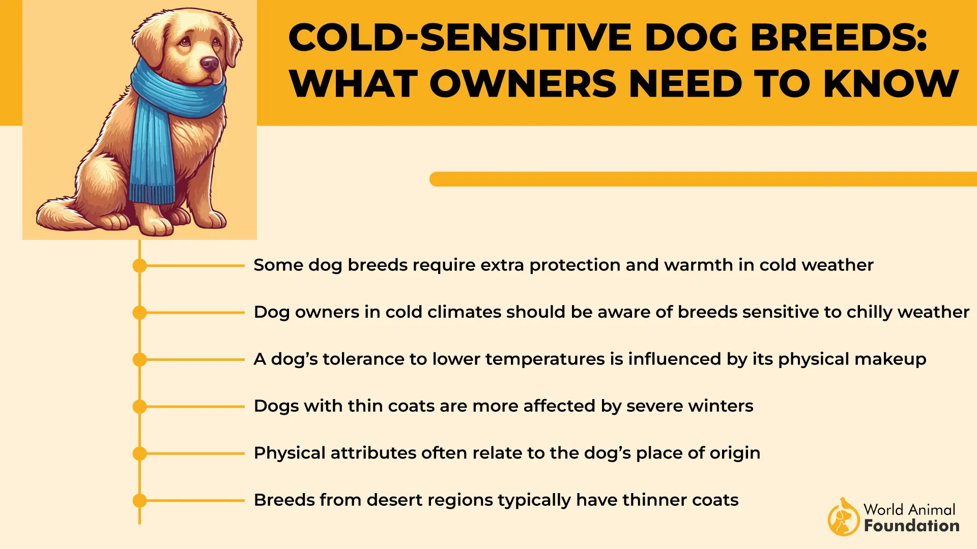 Cold-Sensitive Dog Breeds What Owners Need to Know-01