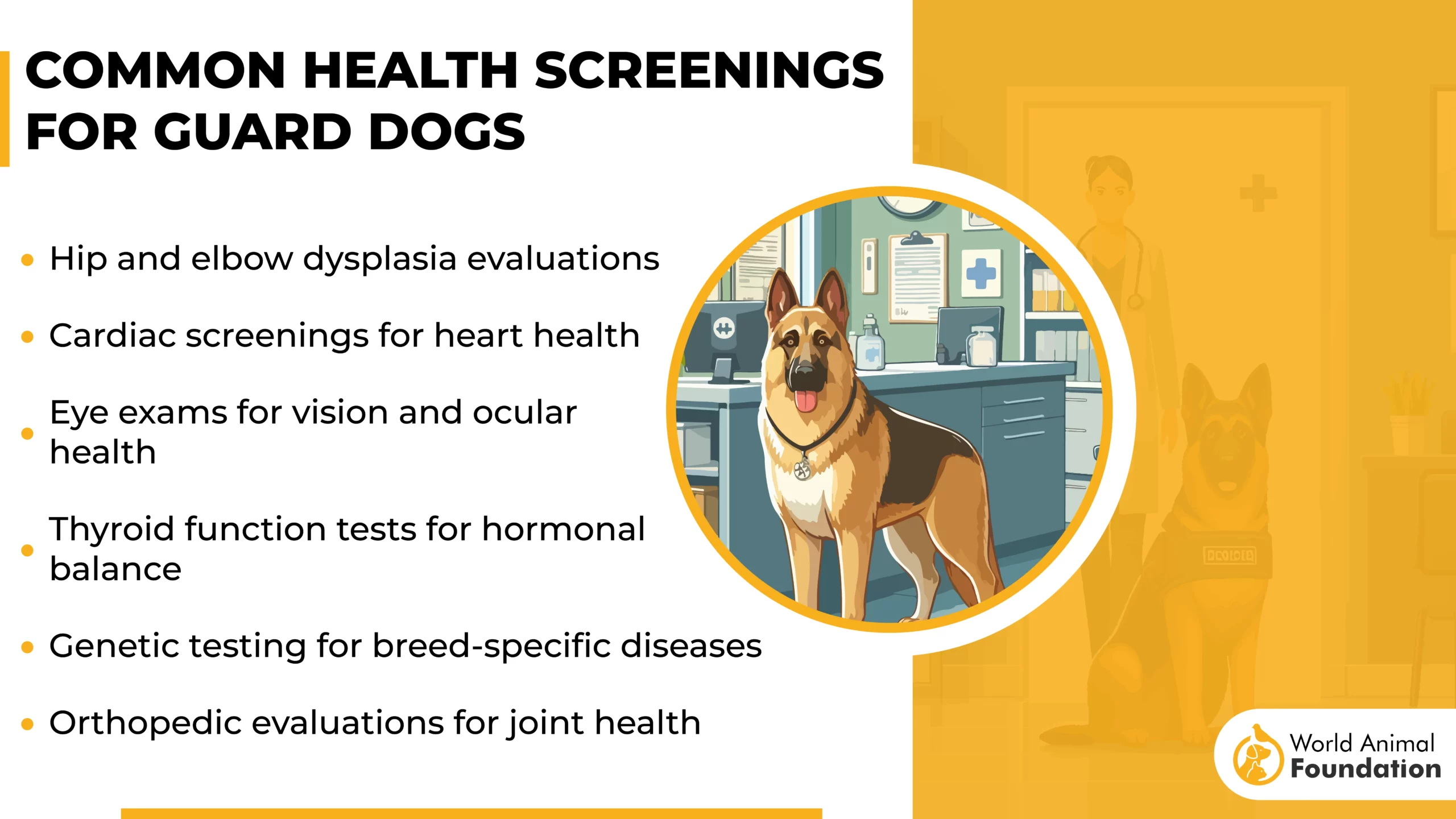 Common Health Screenings for Guard Dogs-01