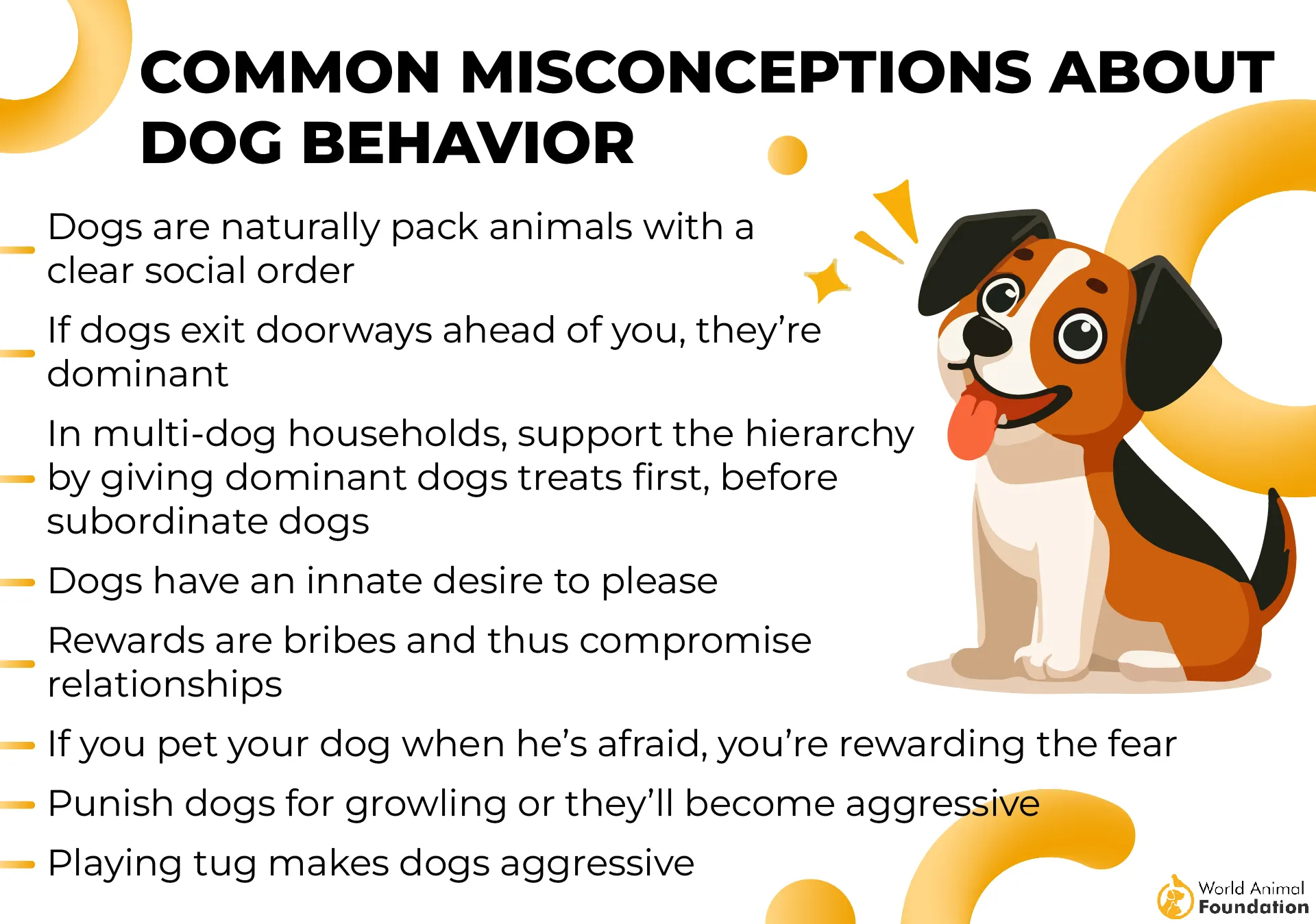 Common Misconceptions About Dog Behavior-01