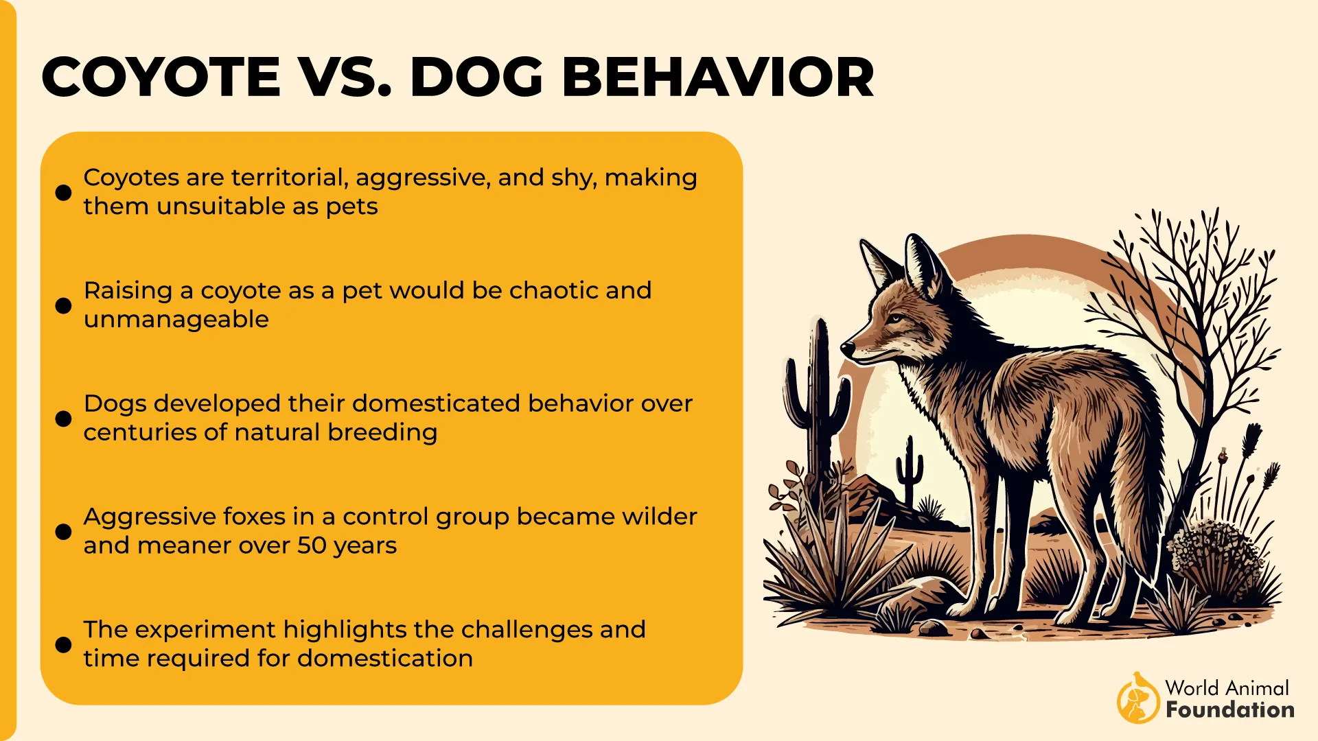 Coyote vs. Dog Behavior-01