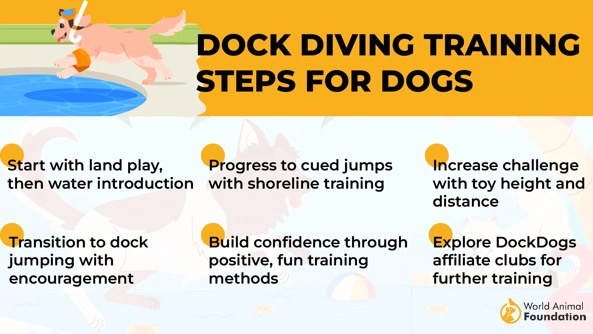 Dock DivingTraining Steps for Dogs-01
