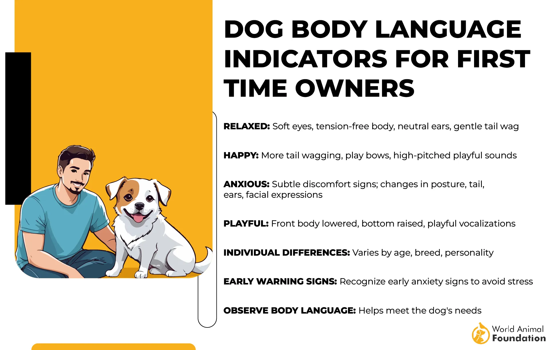 Dog Body Language Indicators for First-Time Owners-01