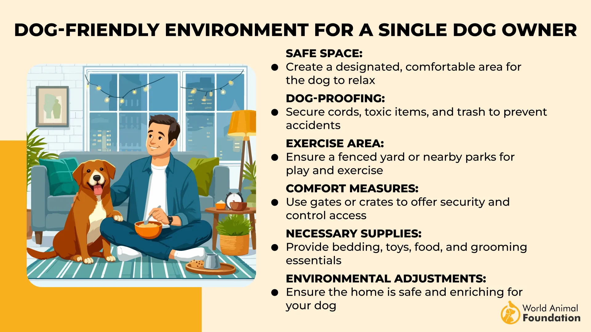 Dog-Friendly Environment for a Single Dog Owner-01