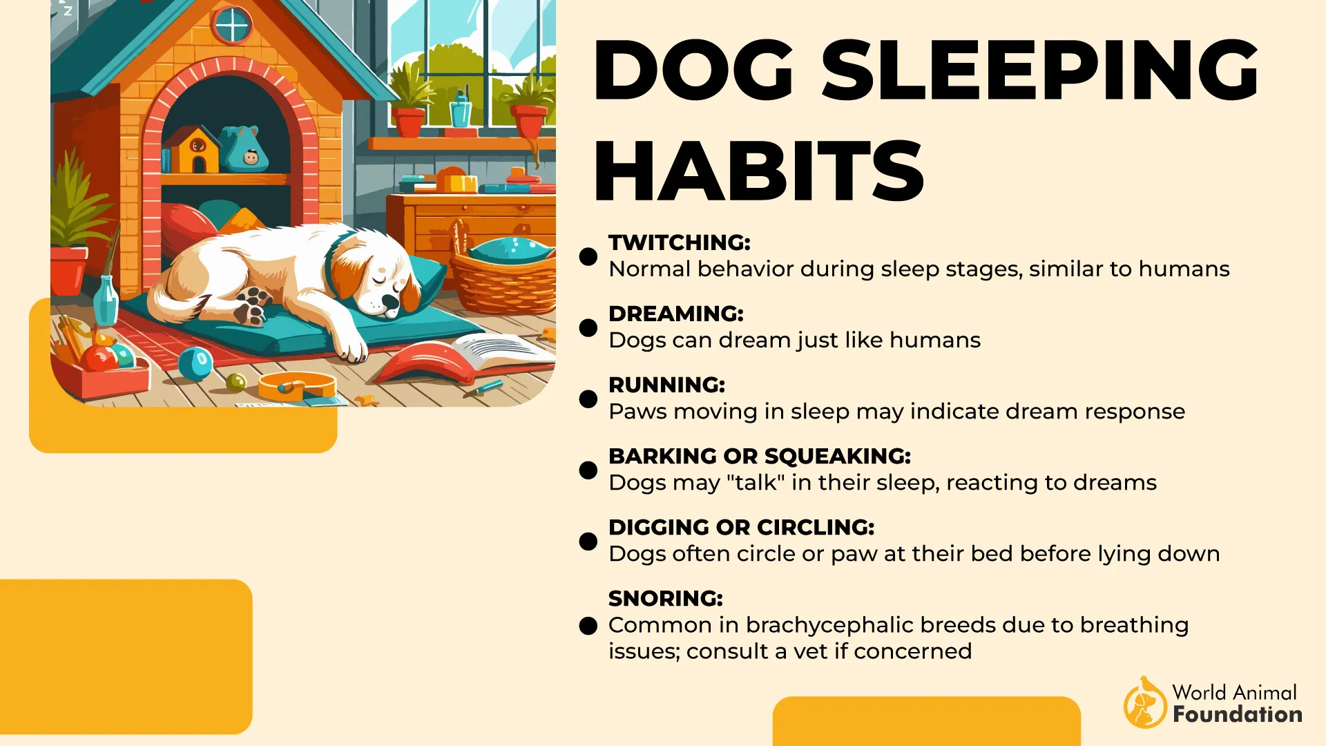 Dog Sleeping Habits-01