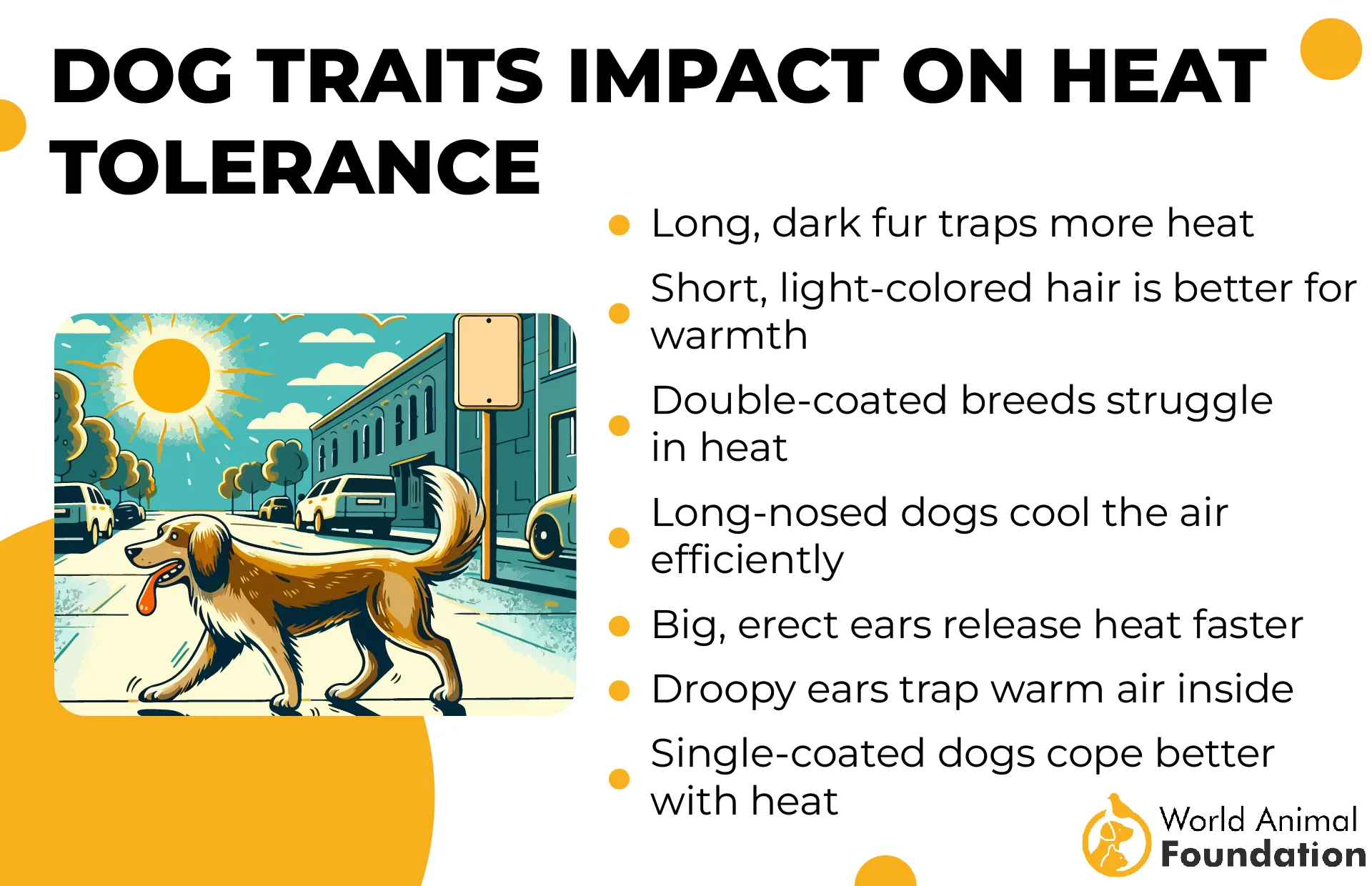 Dog Traits Impact on Heat Tolerance-01
