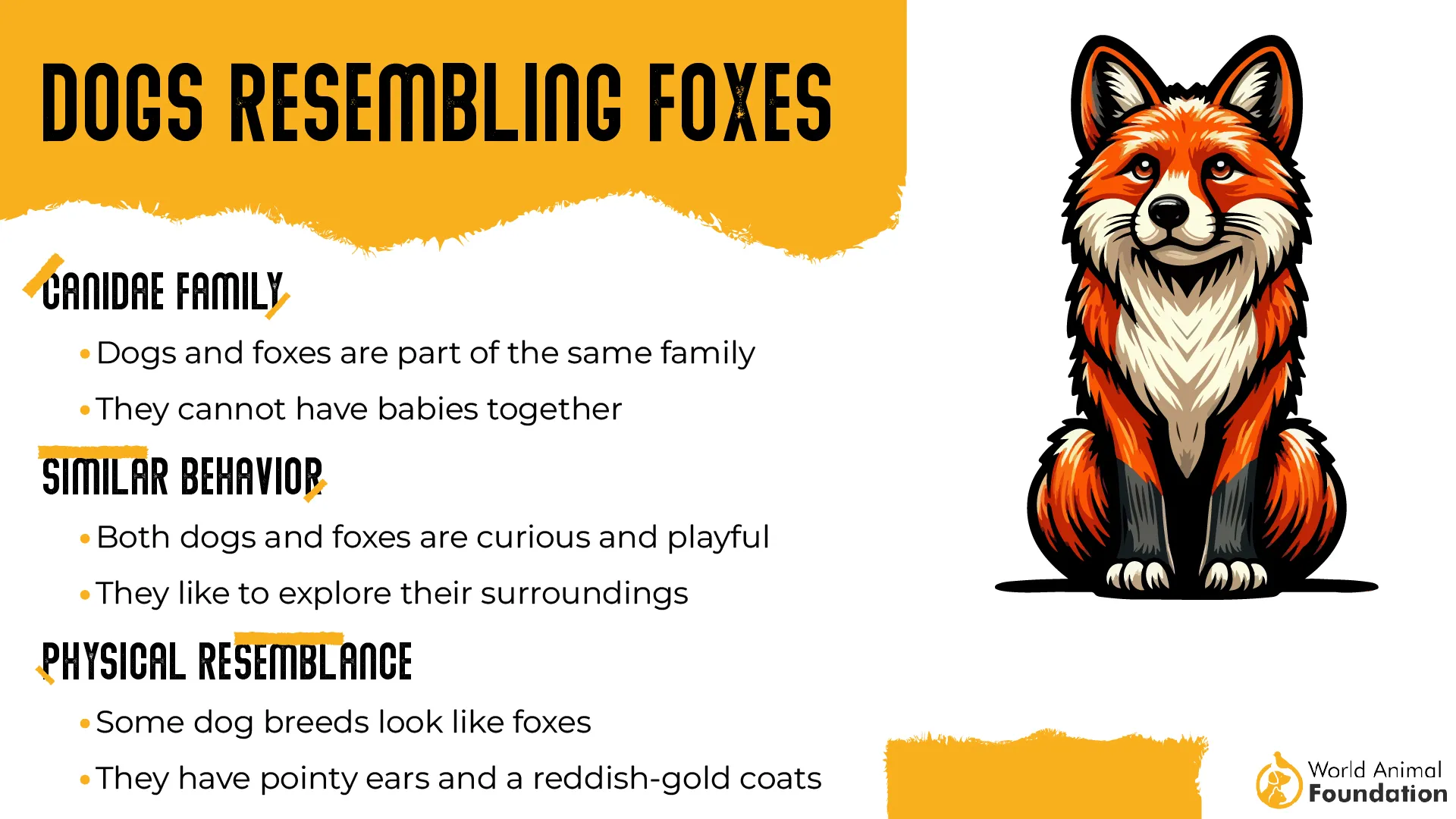 Dogs Resembling Foxes-01
