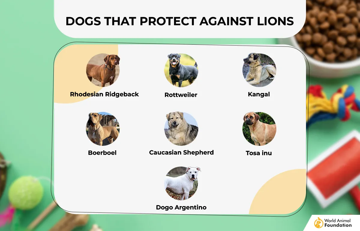 Dogs That Protect Against Lions